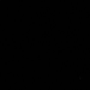 Meet your Posher, Zaineb